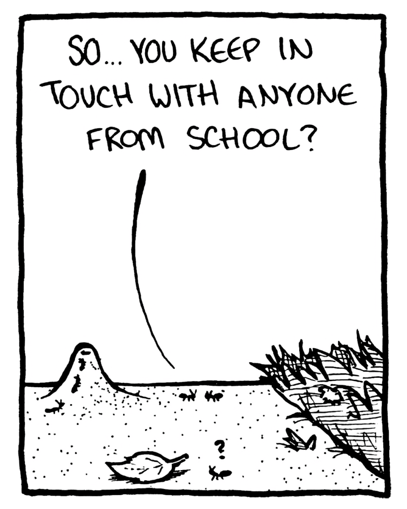 STEVEN THE ANT: So... you keep in touch with anyone from school?
