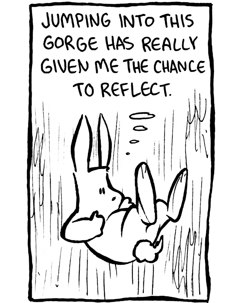 RABBIT: Jumping into this gorge has really given me the chance to reflect.