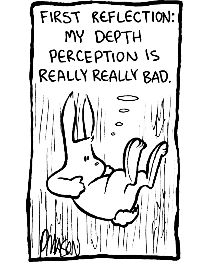 RABBIT: First reflection: my depth perception is really really bad.