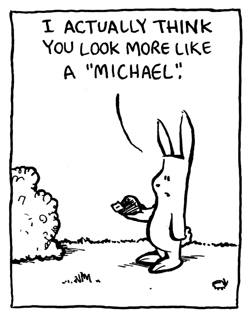 RABBIT: I actually think you look more like a "Michael".