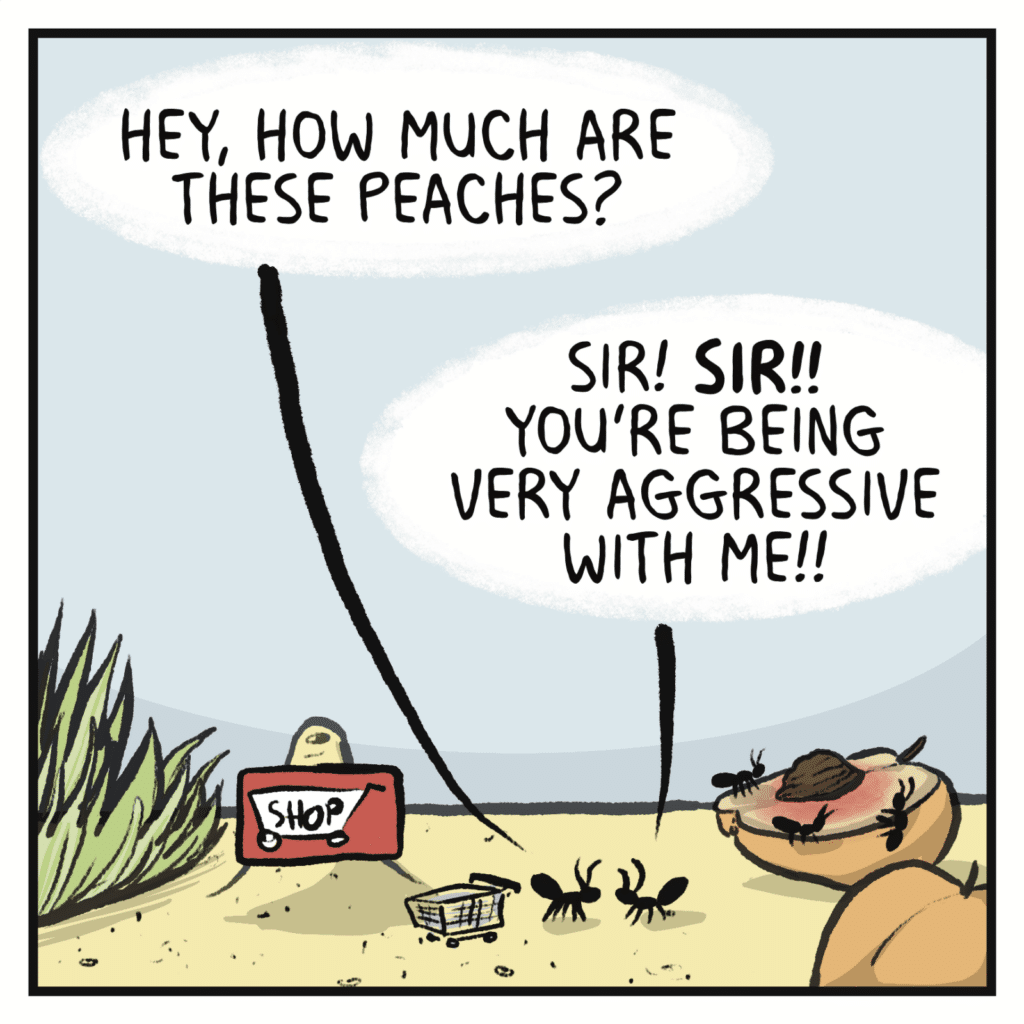 GROCERY STORE CUSTOMER: Hey, how much are these peaches? OTHER ANT: Sir! SIR!! You're being very aggressive with me!!