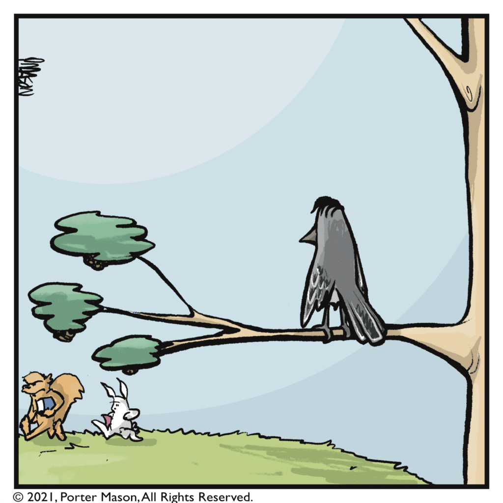 A pause as a bird watches people flee their singing.