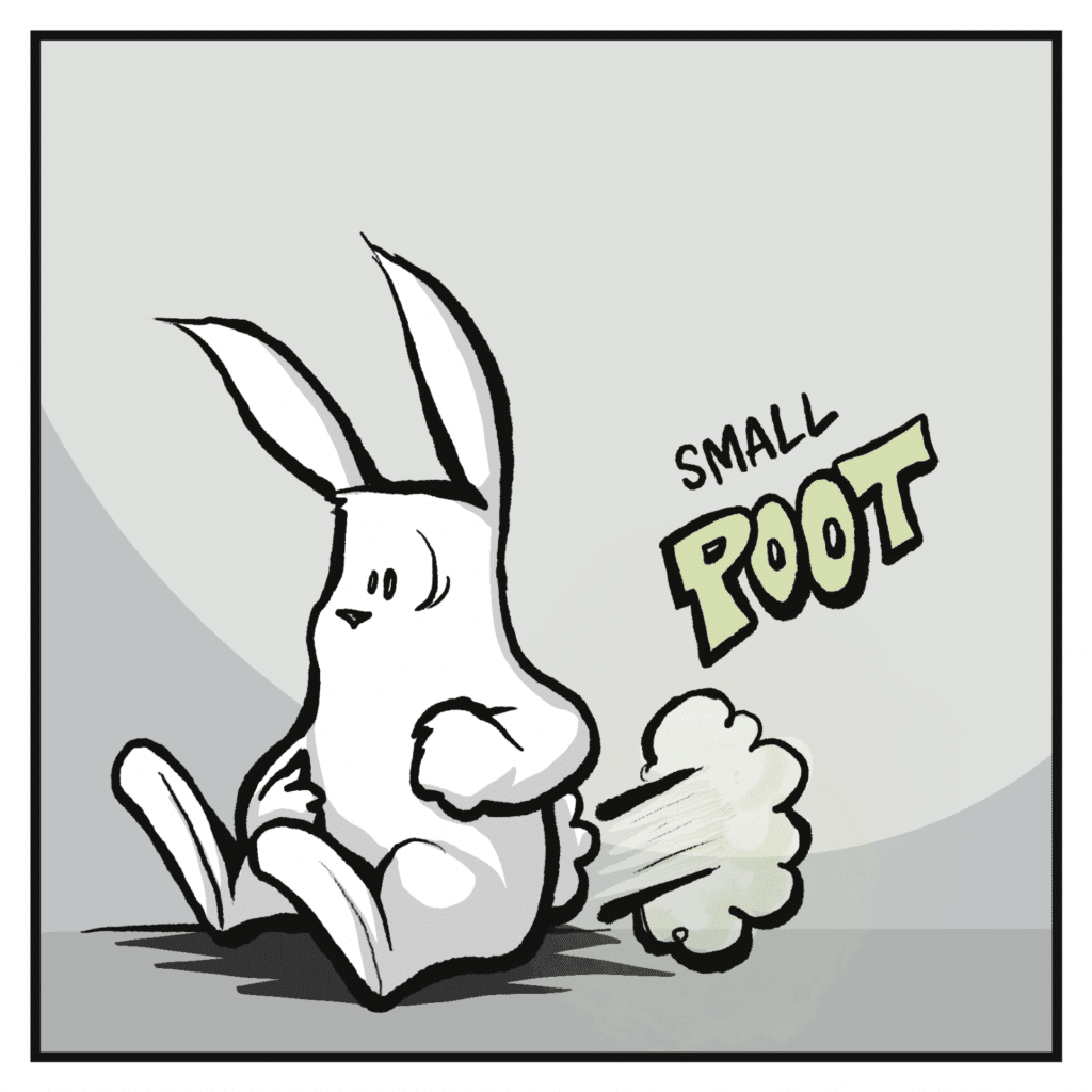 Small POOT! A rabbit farts.