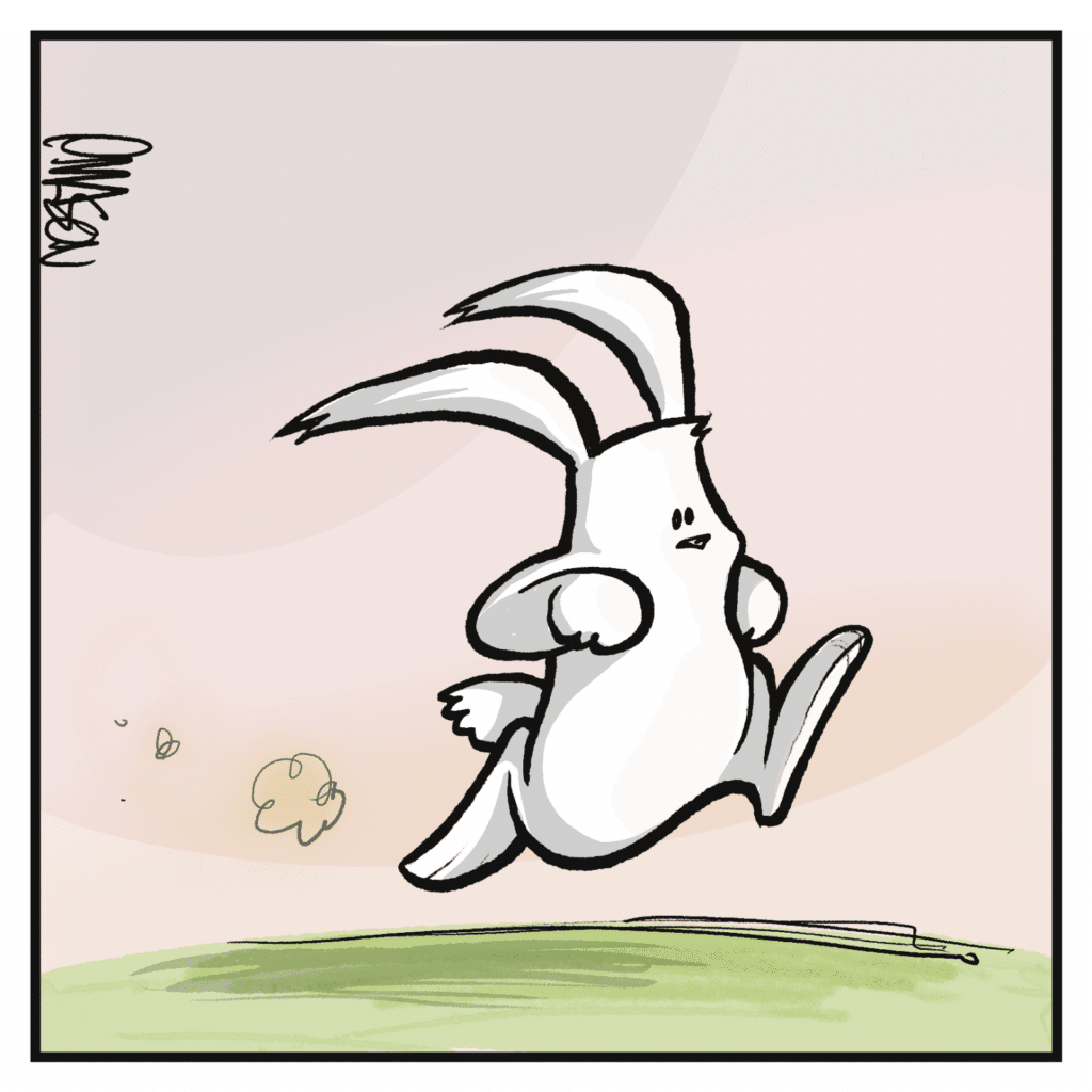 A rabbit runs.