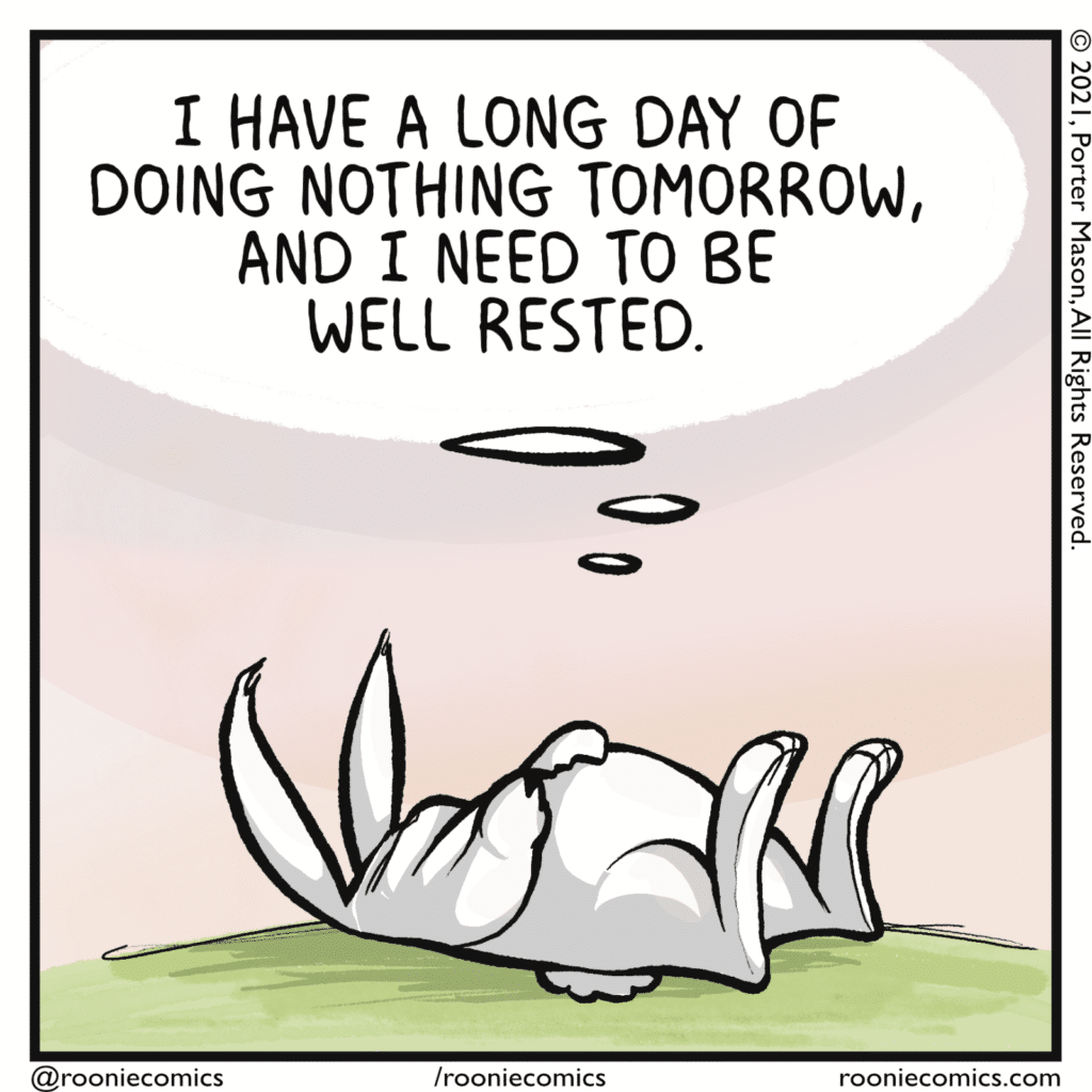 RABBIT (thinking): I have a long day of doing nothing tomorrow, and I need to be well rested.
