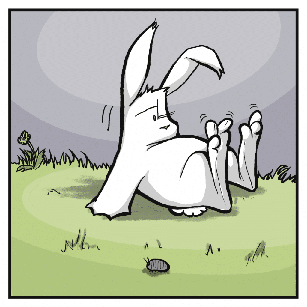 The rabbit sits halfway up and look at their feet.