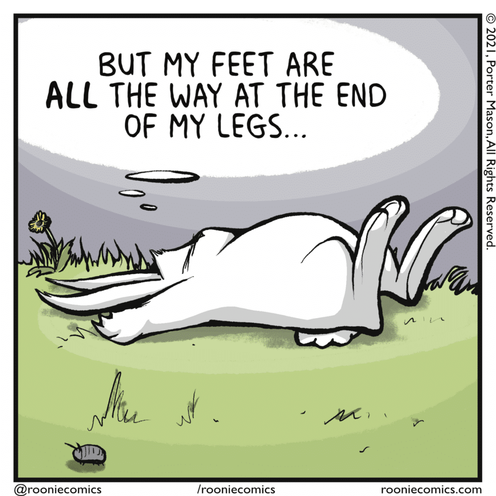 RABBIT (thinking): But my feet are ALL the way at the end of my legs...
