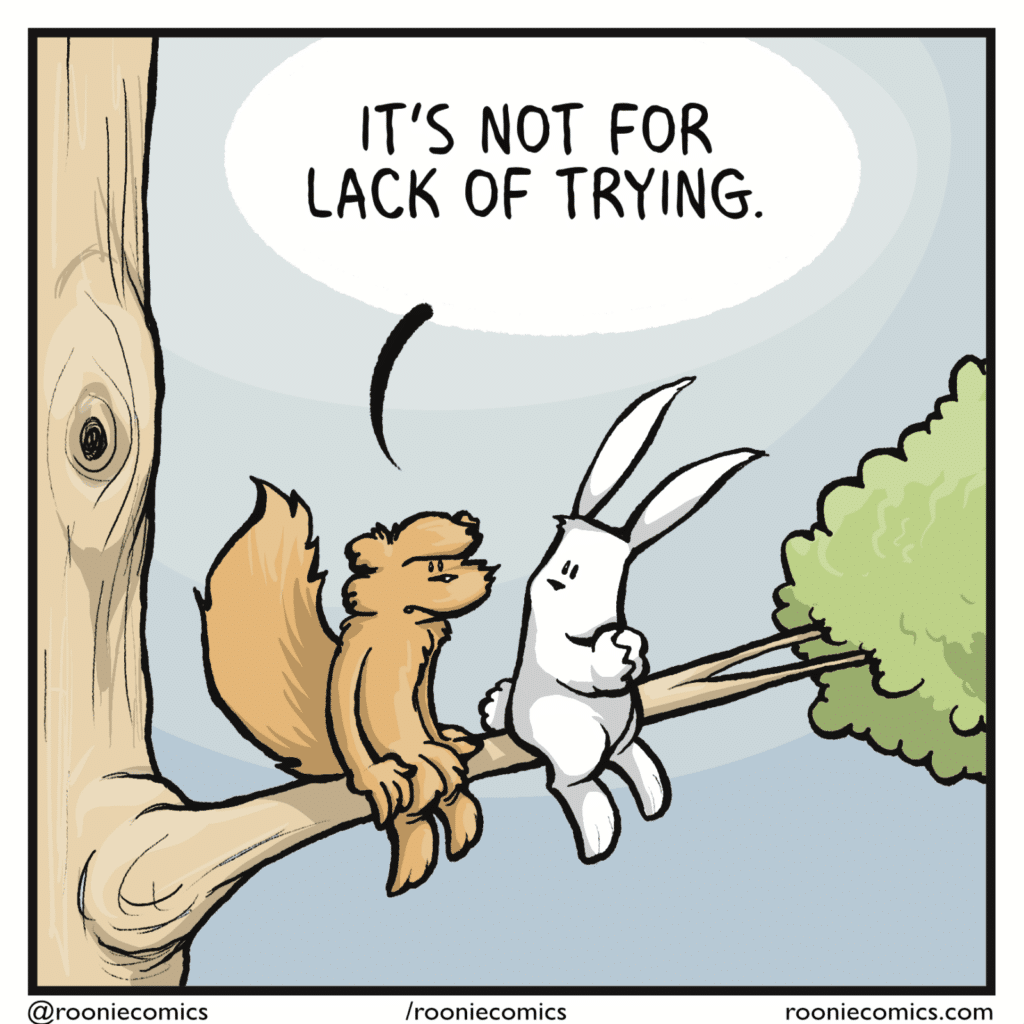 SQUIRREL: It's not for lack of trying.