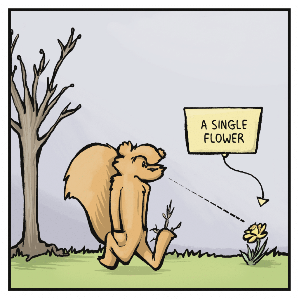 The squirrel's eyes land on a single flower.