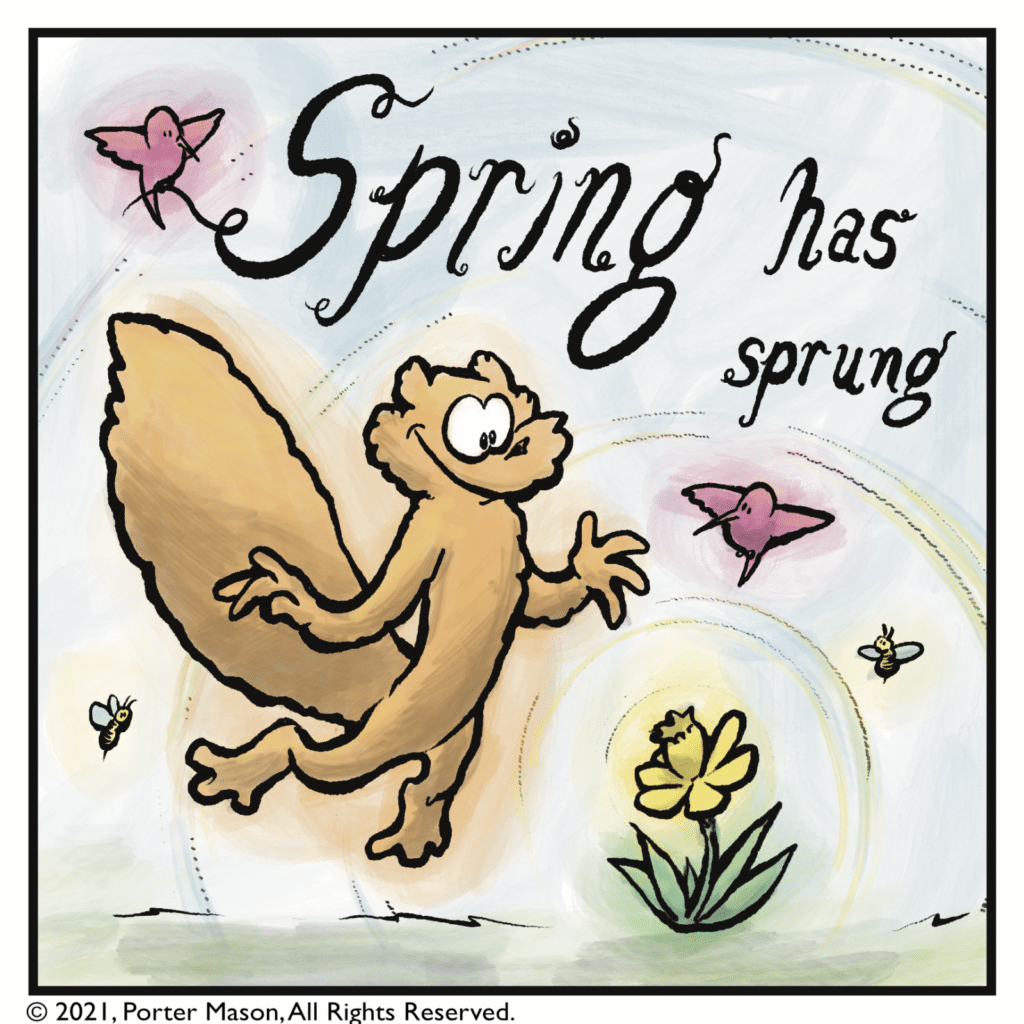 SPRING HAS SPRUNG! The squirrel is surrounded by chirping birds, buzzing weeds, and floats on a cloud.