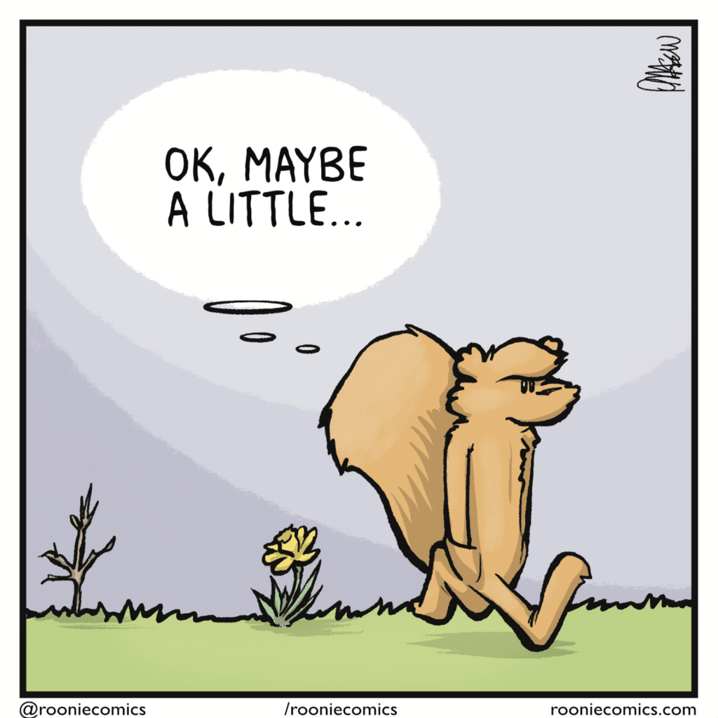 SQUIRREL (thinking): OK, maybe a little...