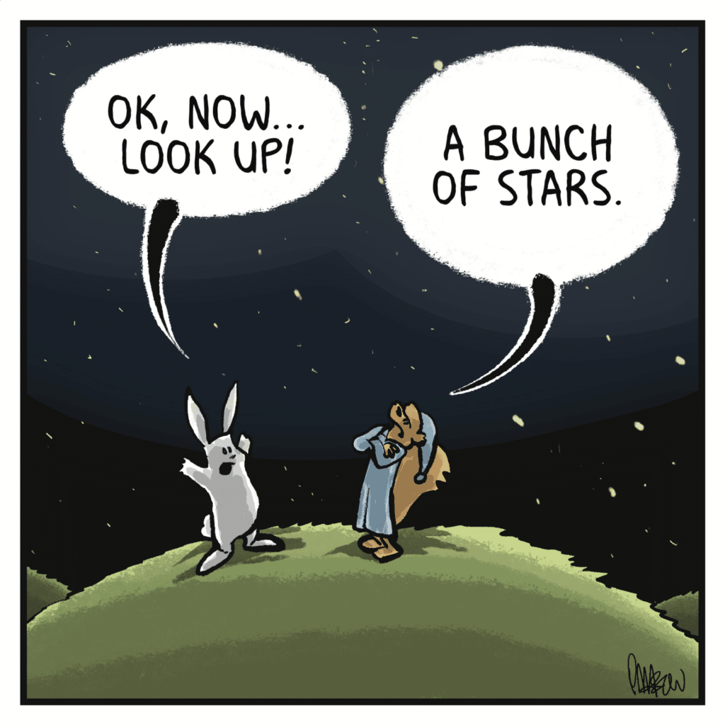 RABBIT: OK, now... look up! SQUIRREL: A bunch of stars.