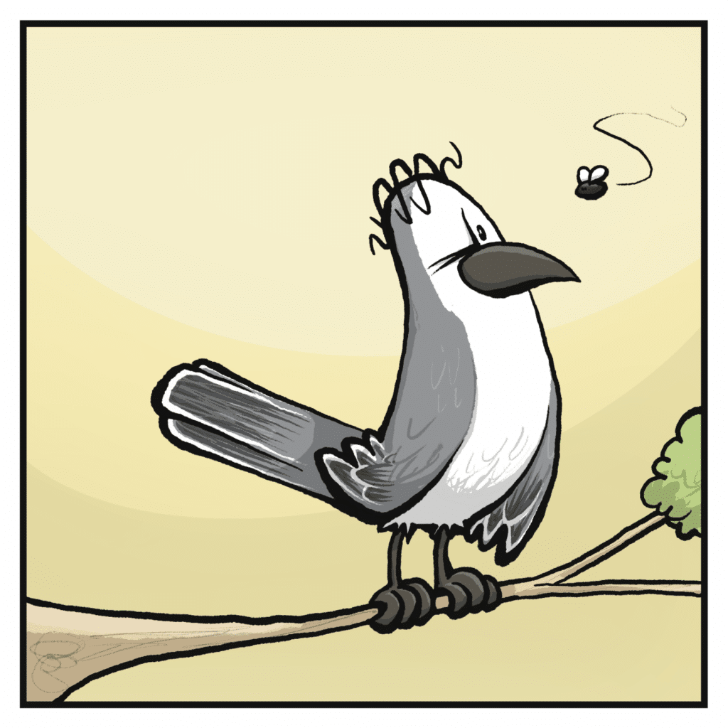 The bird eyes a fly buzzing around.