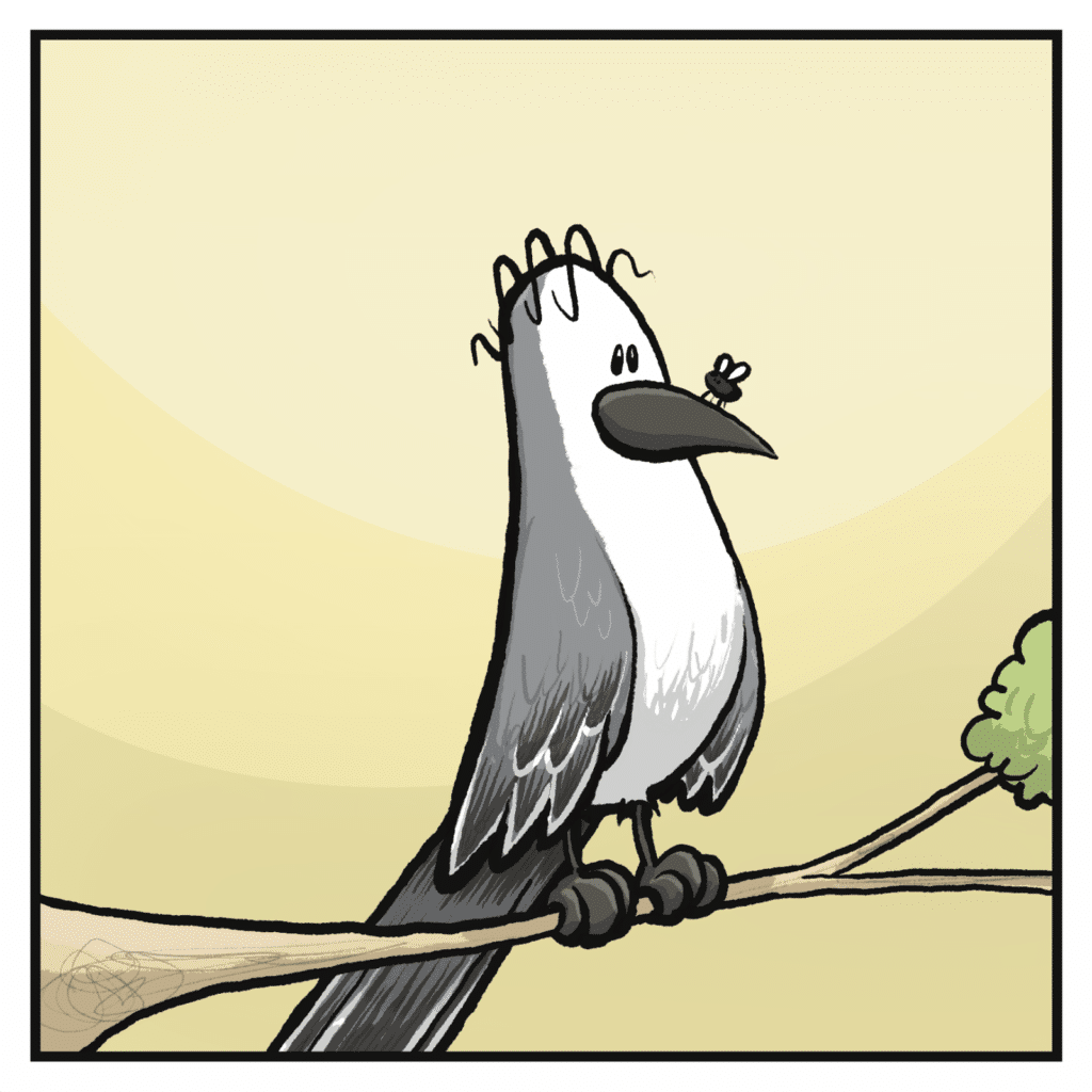 The bird looks at the fly, who has landed on their beak.