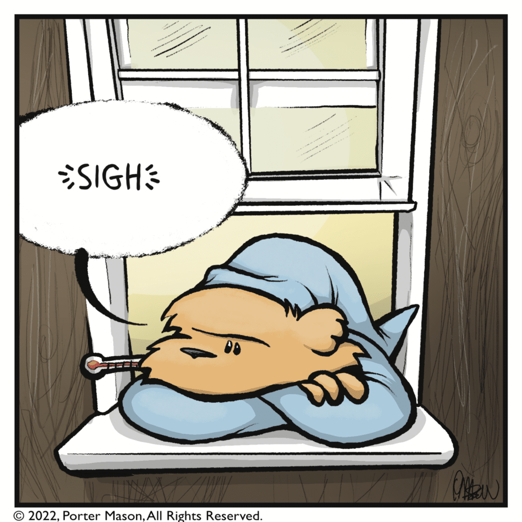 SQUIRREL: sigh.