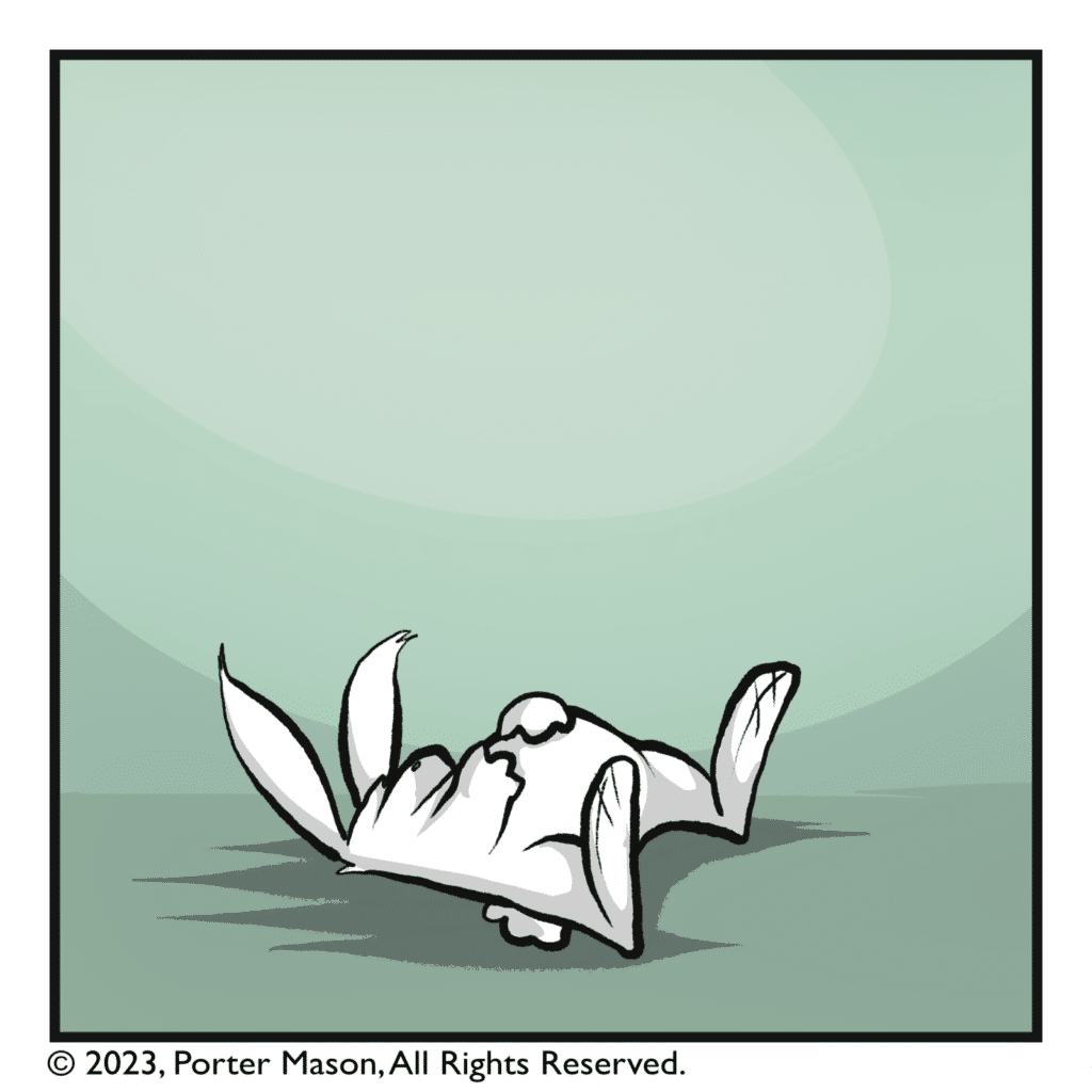 The rabbit remains motionless.