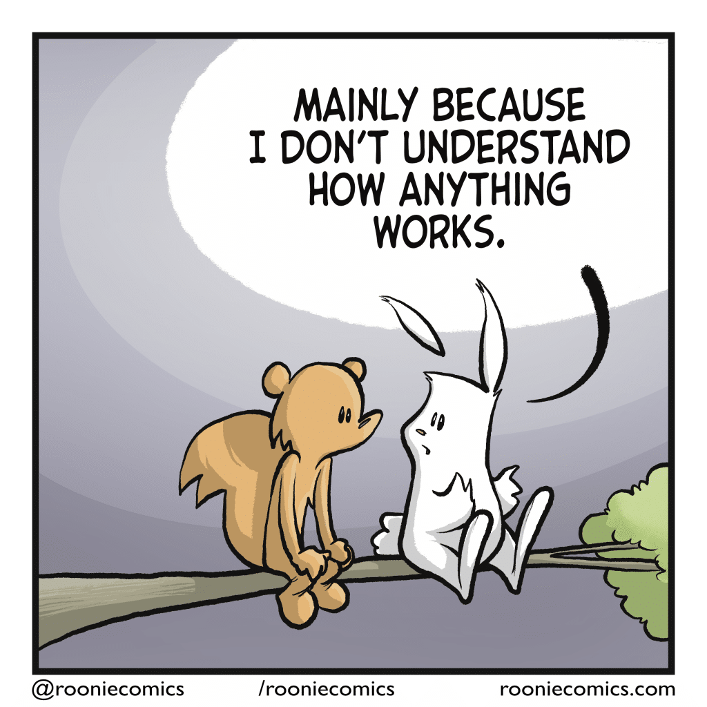 RABBIT: Mainly because I don't understand how anything works.