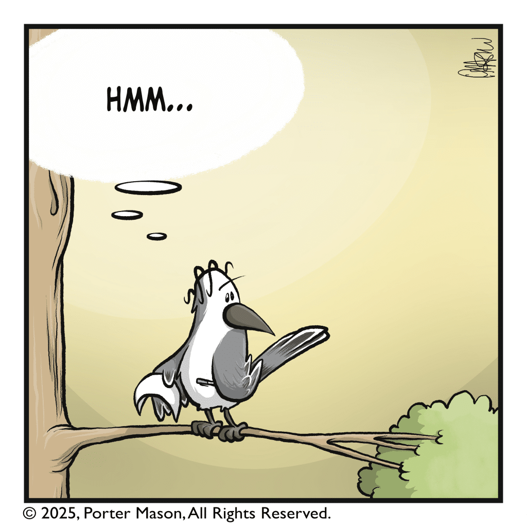 BIRD (thinking): Hmm...