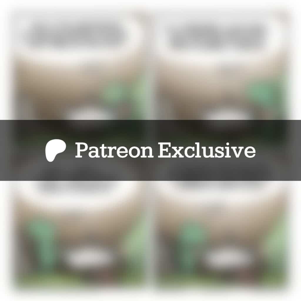 The comic "Anniversary": a Patreon exclusive