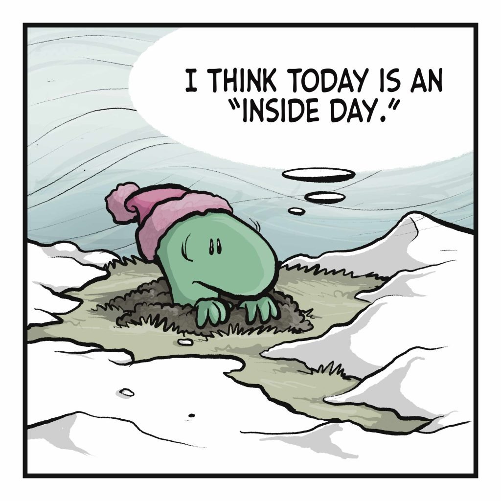 LIZARD (thinking): I think today is an "inside day".
