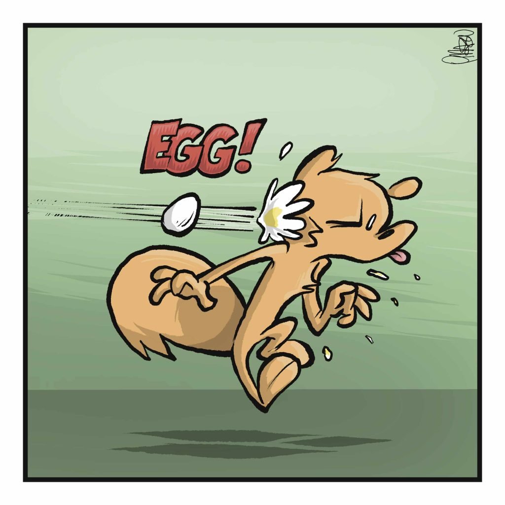 EGG! The squirrel is hit in the back of the head with an egg.