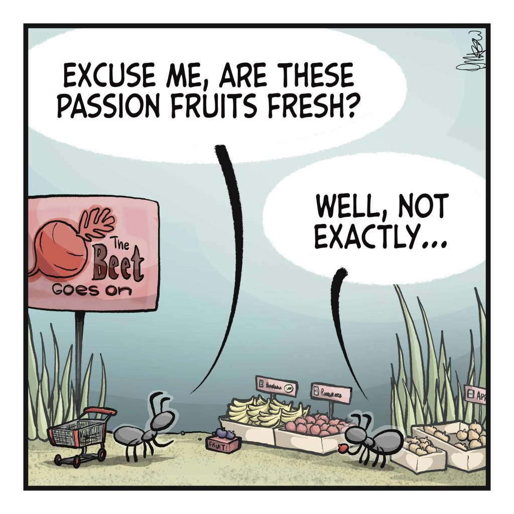 Two ants are in the fruit section of a grocery store. CUSTOMER: Excuse me, are these passion fruits fresh? EMPLOYEE: Well, not exactly...