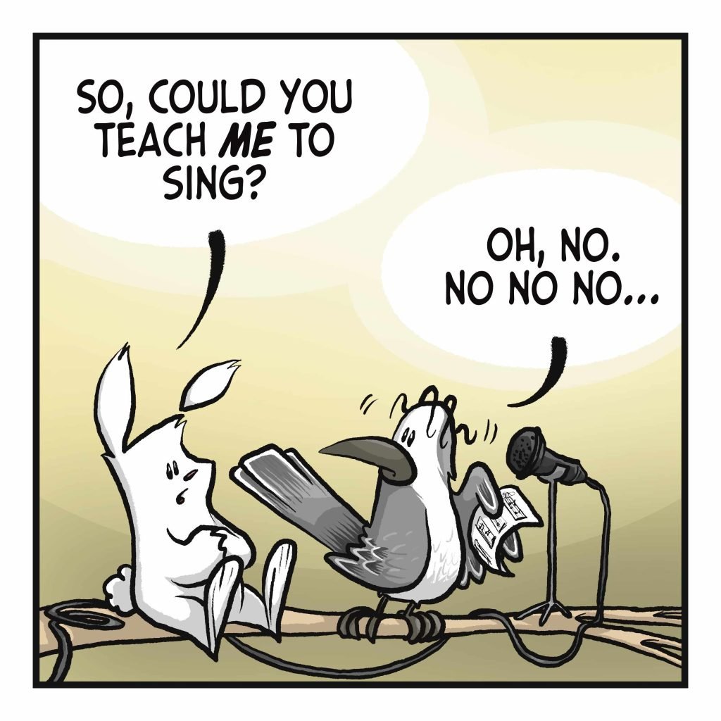 RABBIT: So, could you teach ME to sing? BIRD: Oh no. No no no...