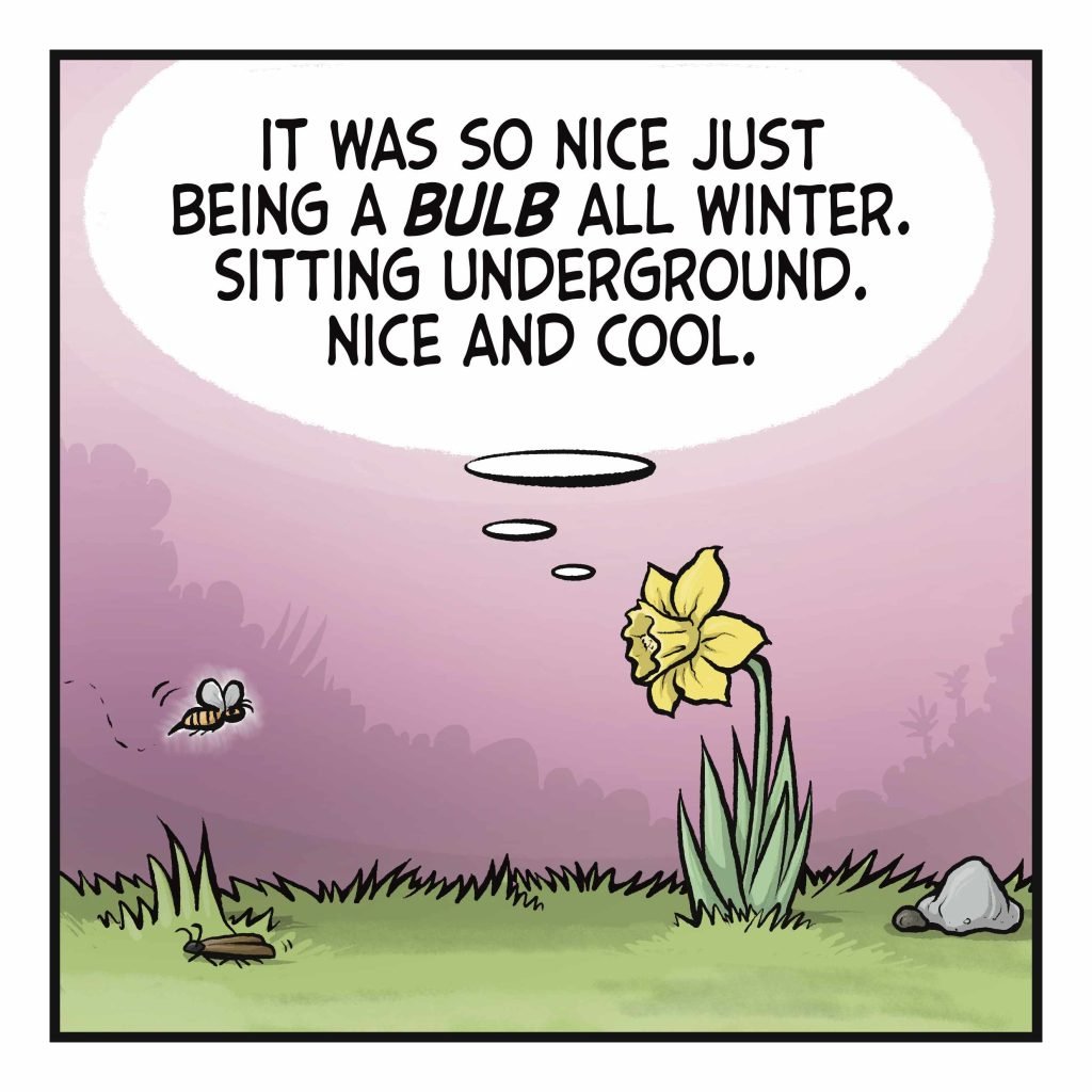 A bee flies toward the flower. FLOWER: (thinking) It was so nice just being a BULB all winter. Sitting underground. Nice and cool.