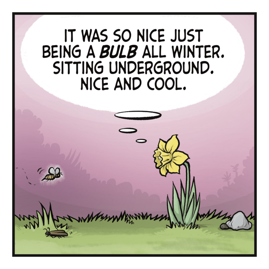 A bee flies toward the flower. FLOWER: (thinking) It was so nice just being a BULB all winter. Sitting underground. Nice and cool.