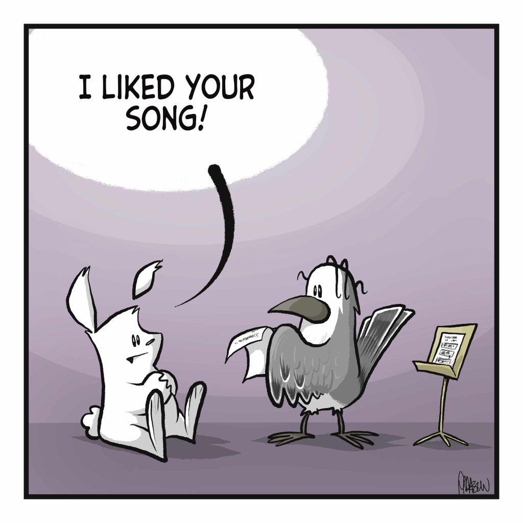 RABBIT: I liked your song!
